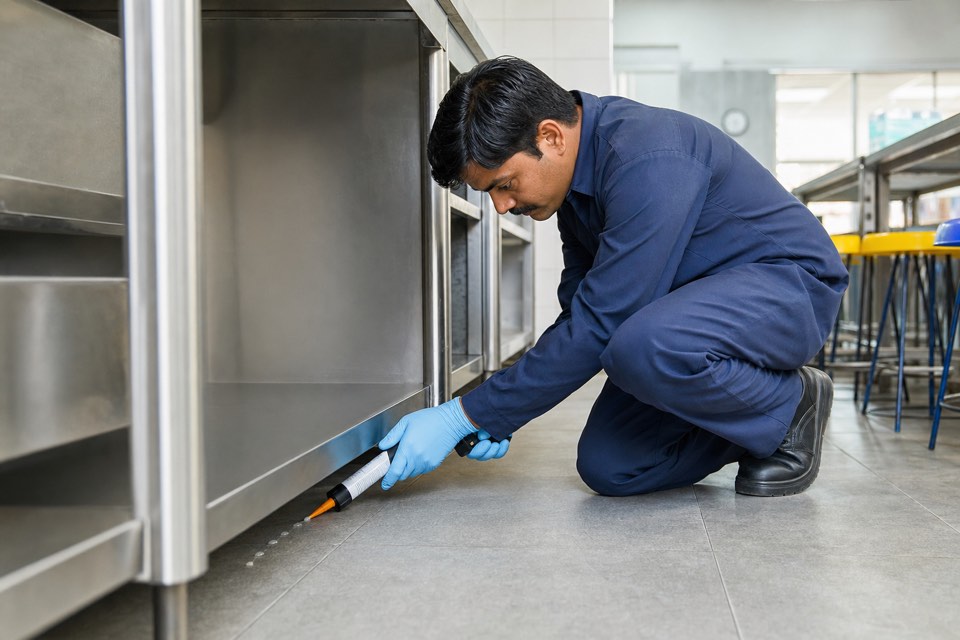 Institutional pest control crew in Pune